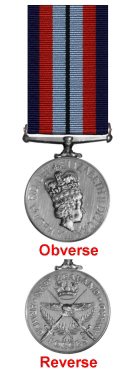 THE NEW ZEALAND ARMED FORCES AWARD
