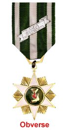 THE SOUTH VIETNAM CAMPAIGN MEDAL